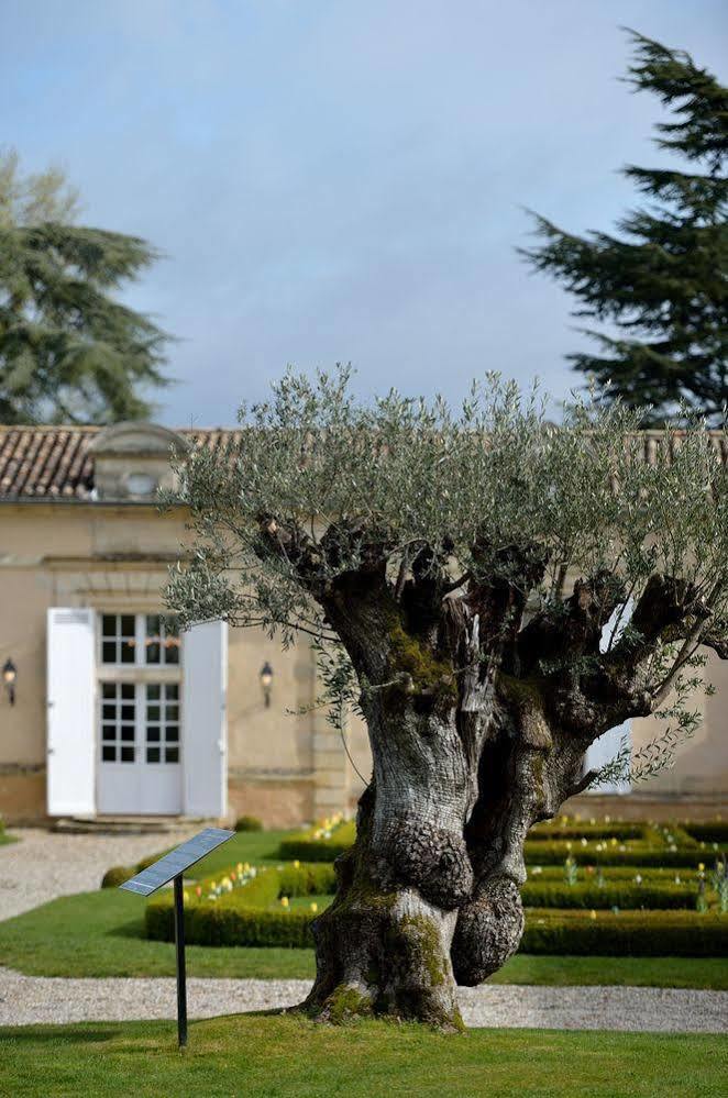 Chateau Fombrauge Saint-Christophe-des-Bardes ภายนอก รูปภาพ